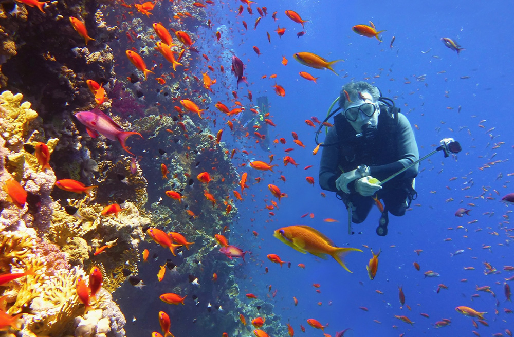 The Adventurer’s Guide to Mauritius - Diving