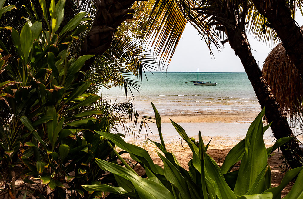 Why Choose Mozambique’s Islands for Your Next Beach Holiday 