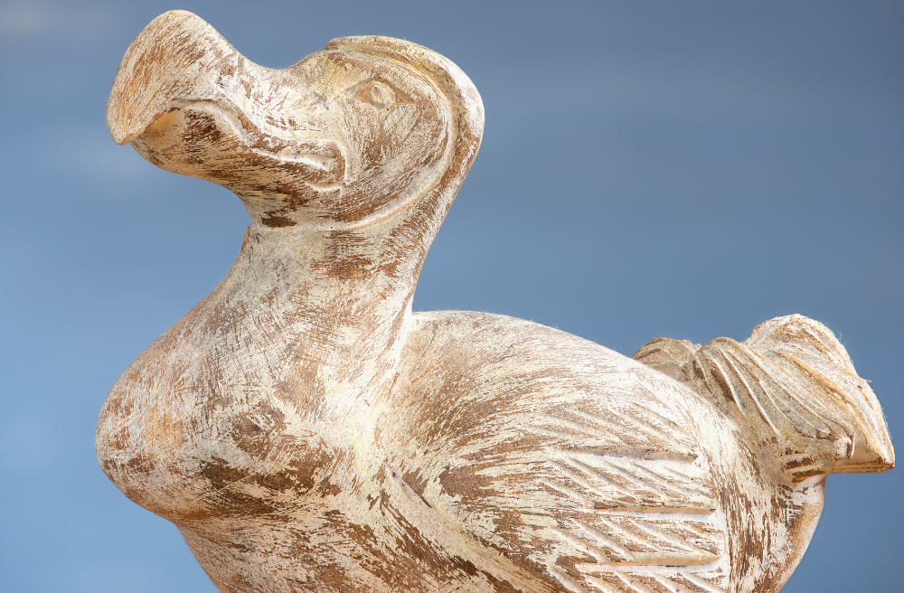The History of the Dodo