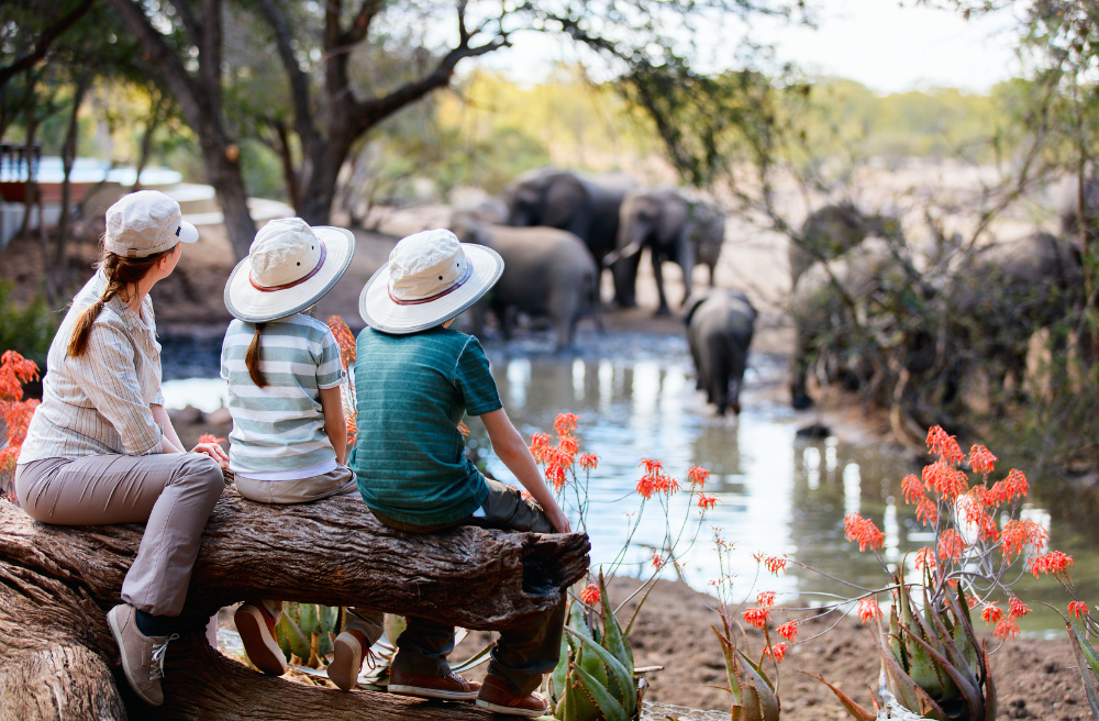 Best Family Holiday Destinations for South Africans