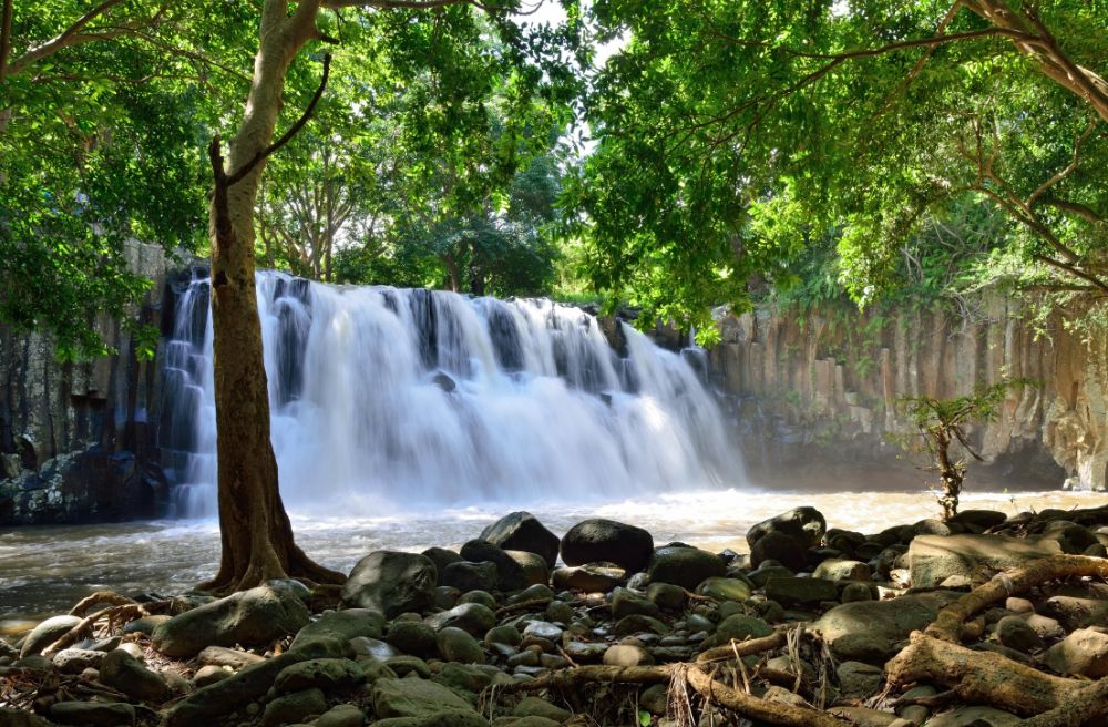 Mauritius Waterfall