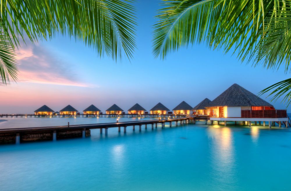The Maldives: Luxury Vegan Travel 
